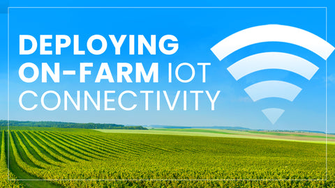 All You Need to Know About IoT Network Connectivity for Your Farm